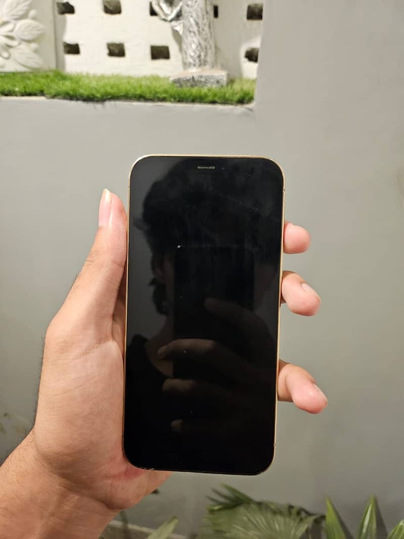 Apple iPhone 12 Pro 2