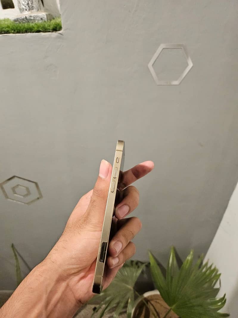 Apple iPhone 12 Pro 5
