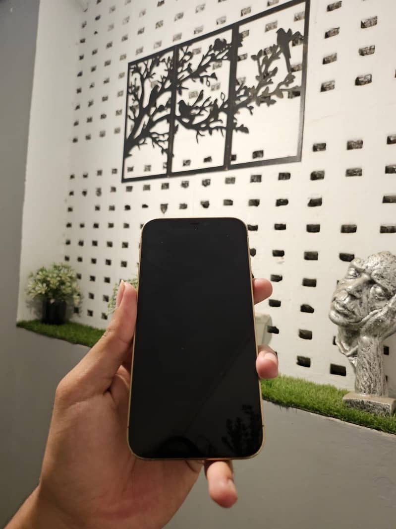 Apple iPhone 12 Pro 6
