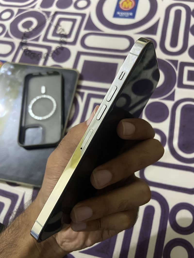 Apple iPhone 13 Pro Max 6