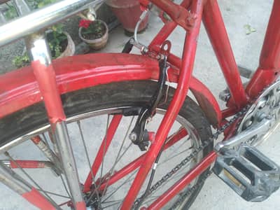 Bicycle