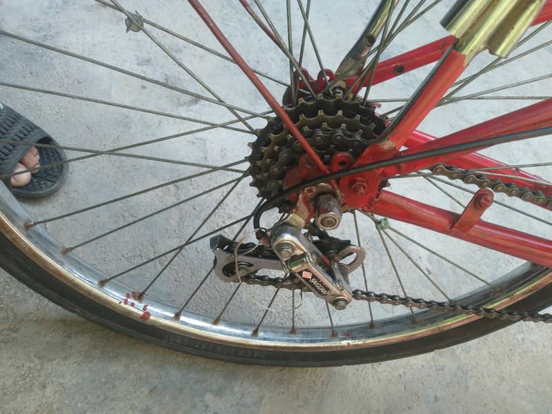 Bicycle 10