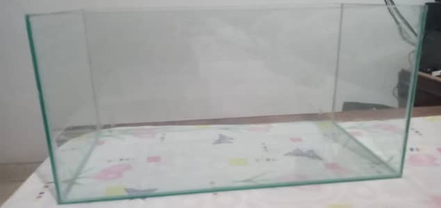 Fish Tank