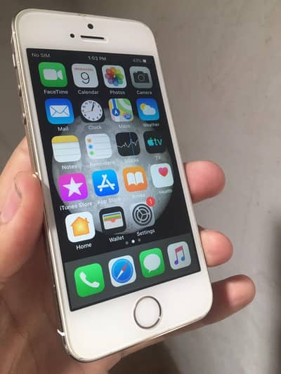 Apple iPhone 5s