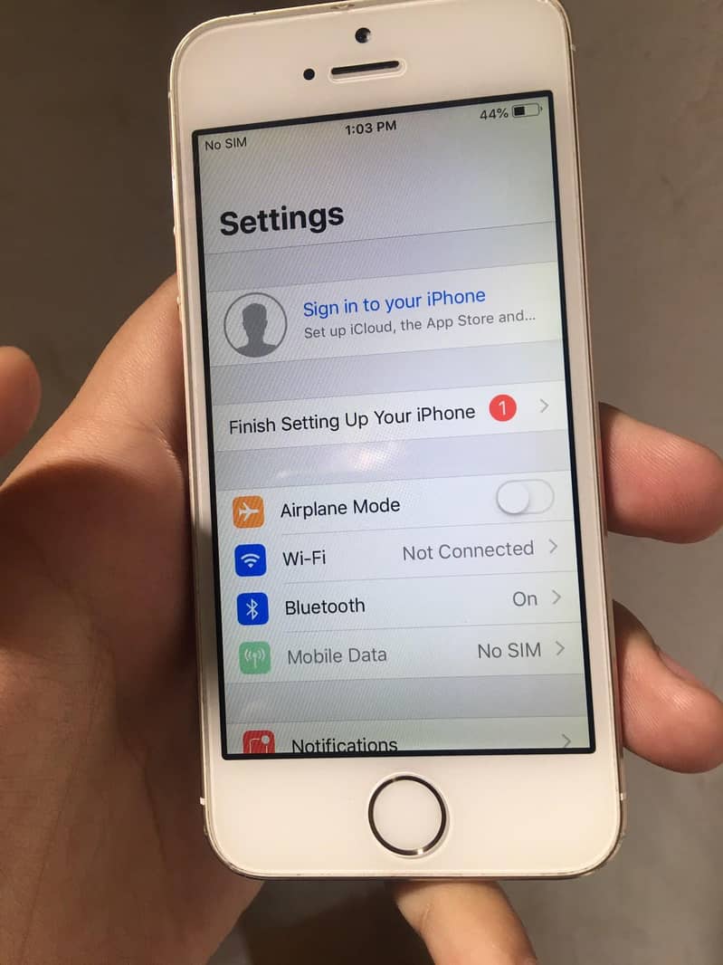 Apple iPhone 5s 8