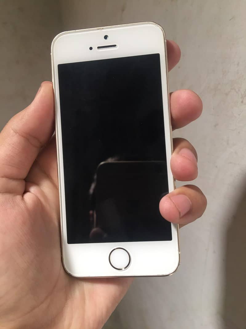 Apple iPhone 5s 13