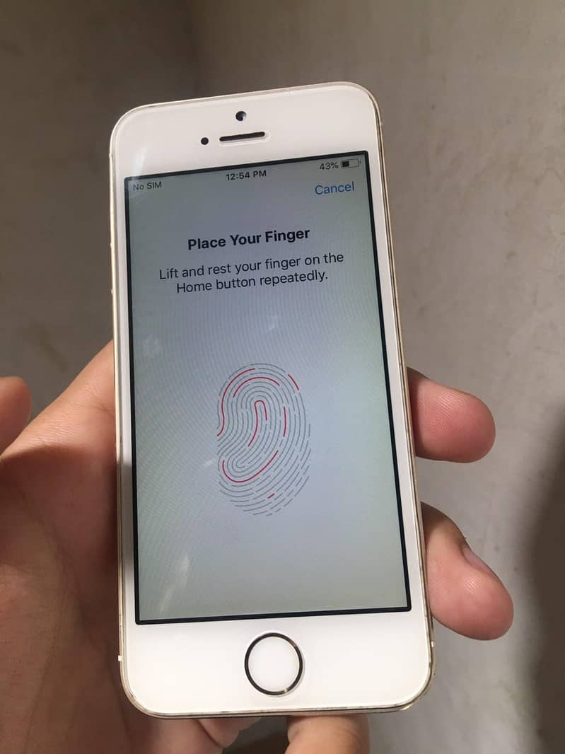 Apple iPhone 5s 18