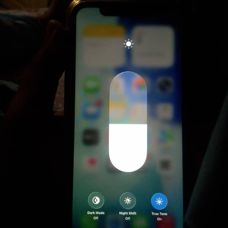 Apple iPhone 11 1