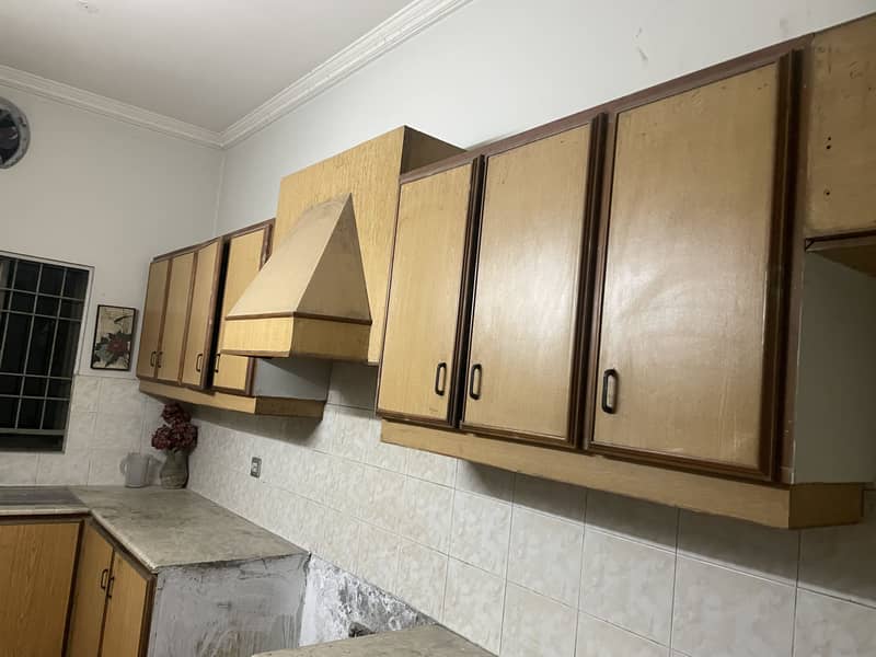 Kitchen cabinets 1