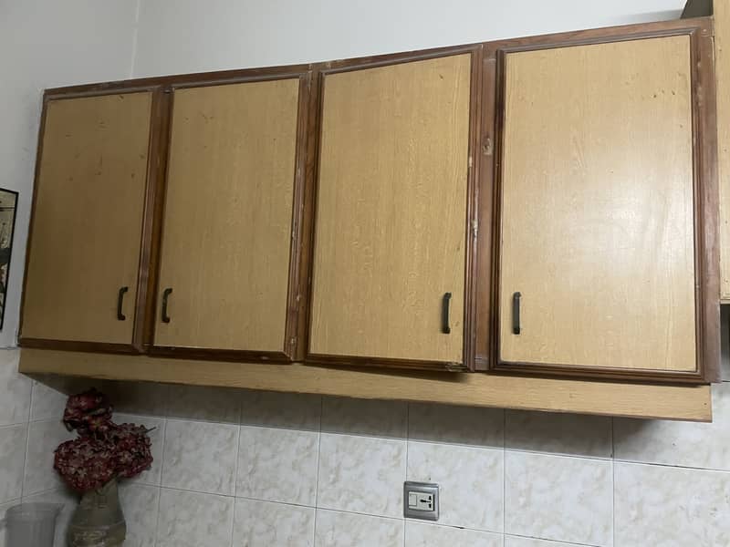 Kitchen cabinets 4