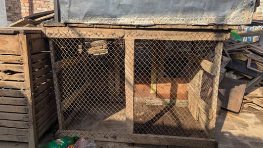 3 Pinjray For Sale Hen Thori bohot Murramat krwa kr use kr sktay yen