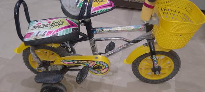 Kids Tricycle