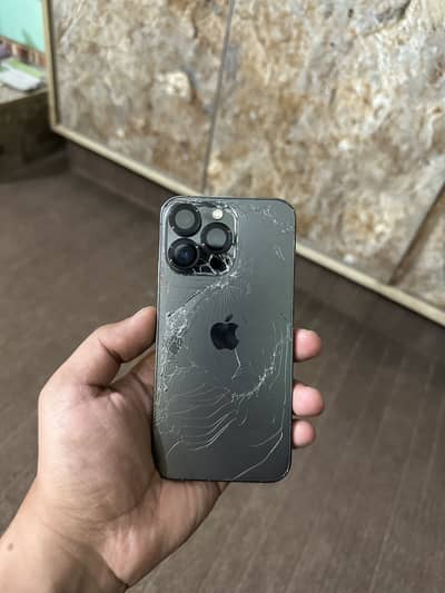 Apple iPhone 13 Pro jv