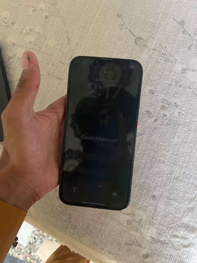 Apple iPhone 13 Pro Max 6