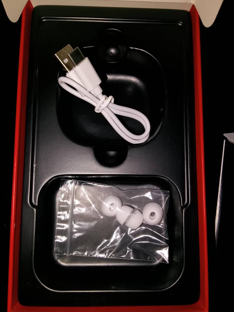 Audionic  Earbuds 550 11