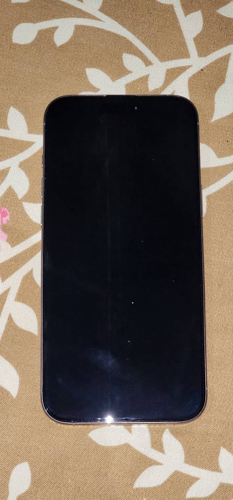 Apple iPhone 16 Pro Max 1