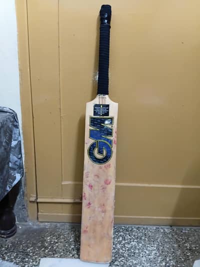 Kashmir willow cricket bat