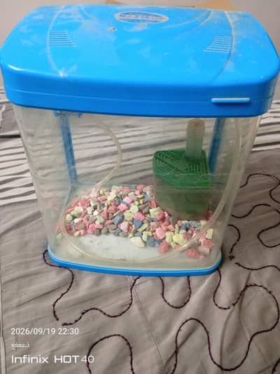 small fish aquarium (high quality plastic)