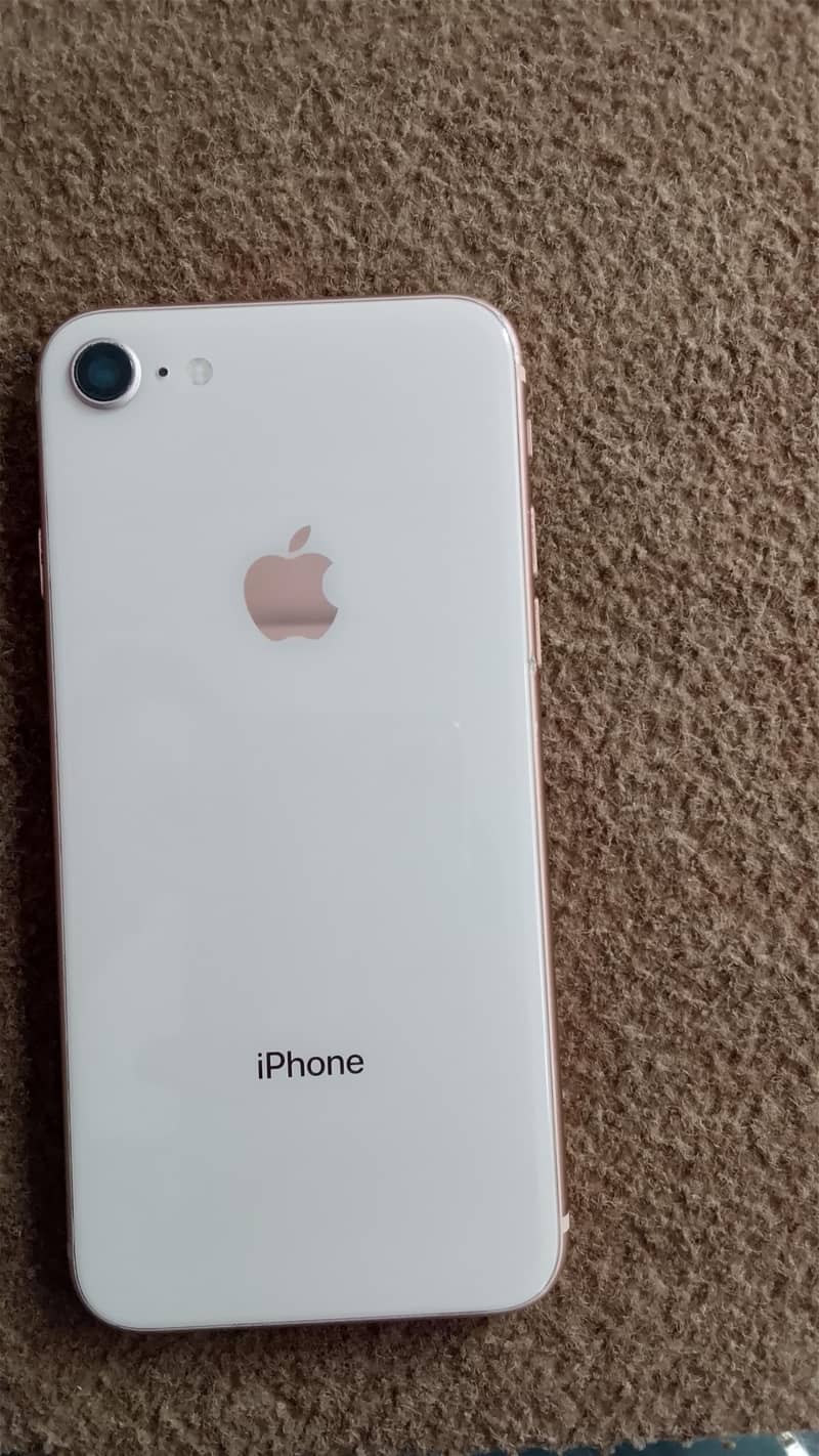 Apple iPhone 7 1