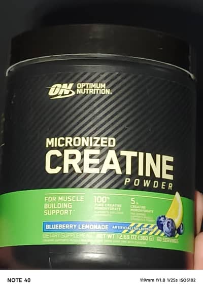 optimum nutrition micronized creatine powder