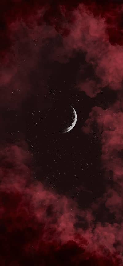 Muhammad Shayaan