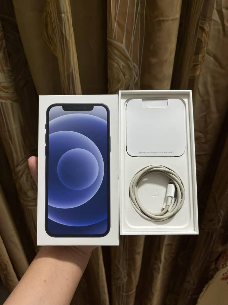 Apple iPhone 12 1