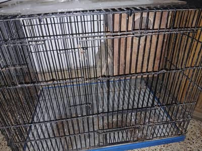 parrot Cage and parrot house