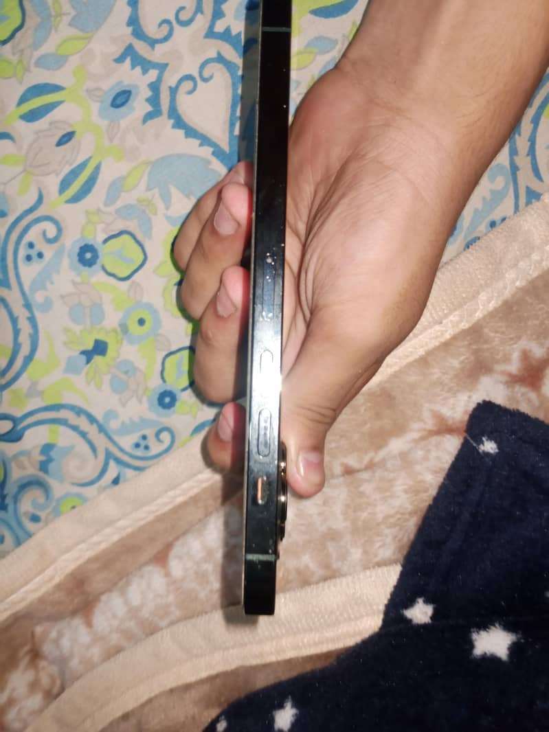Apple iPhone 13 Pro Max 2