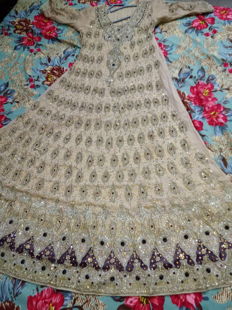 maxii 5