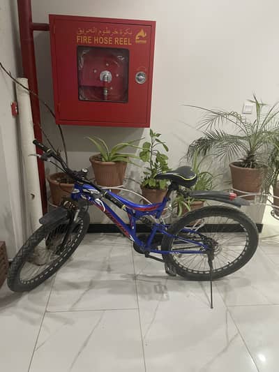 Fat tyre bicycle without gear