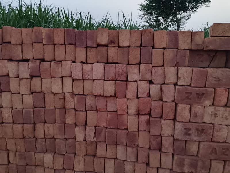 Bricks 1