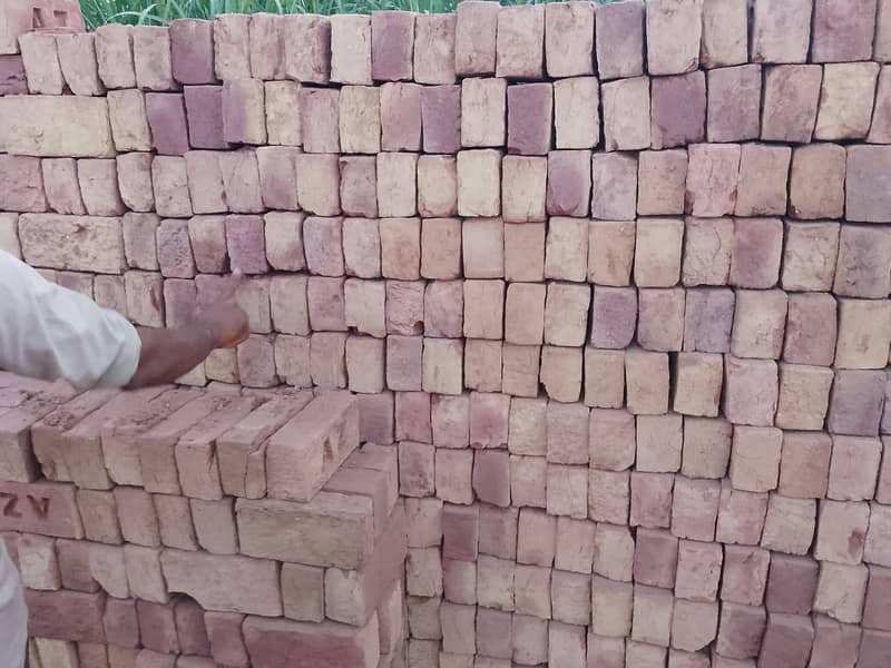 Bricks 2