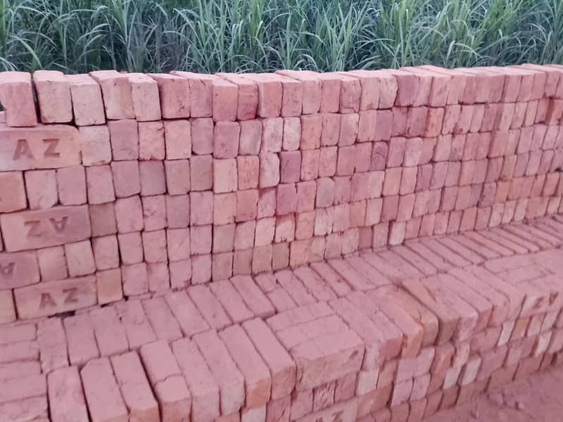 Bricks 4