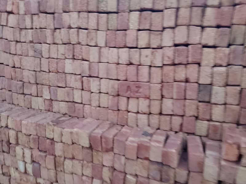 Bricks 6