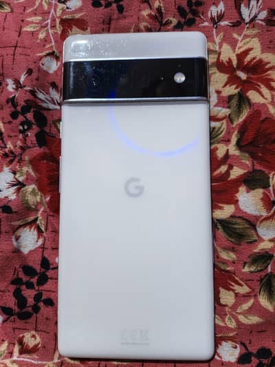 google pixel 6 pro