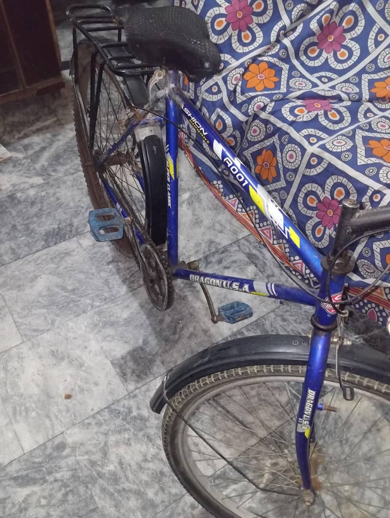 Cycle dragon old 1