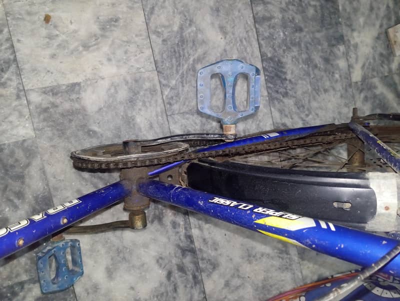 Cycle dragon old 2