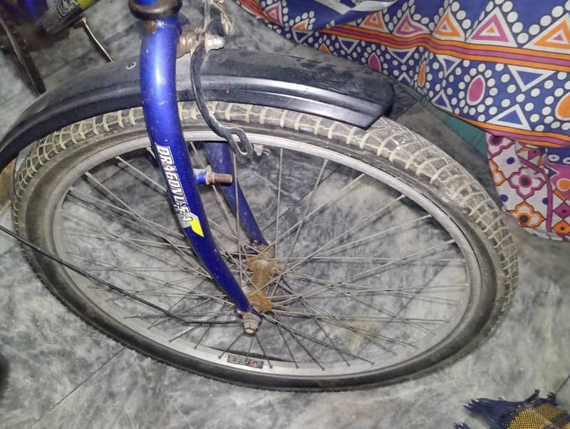 Cycle dragon old 3