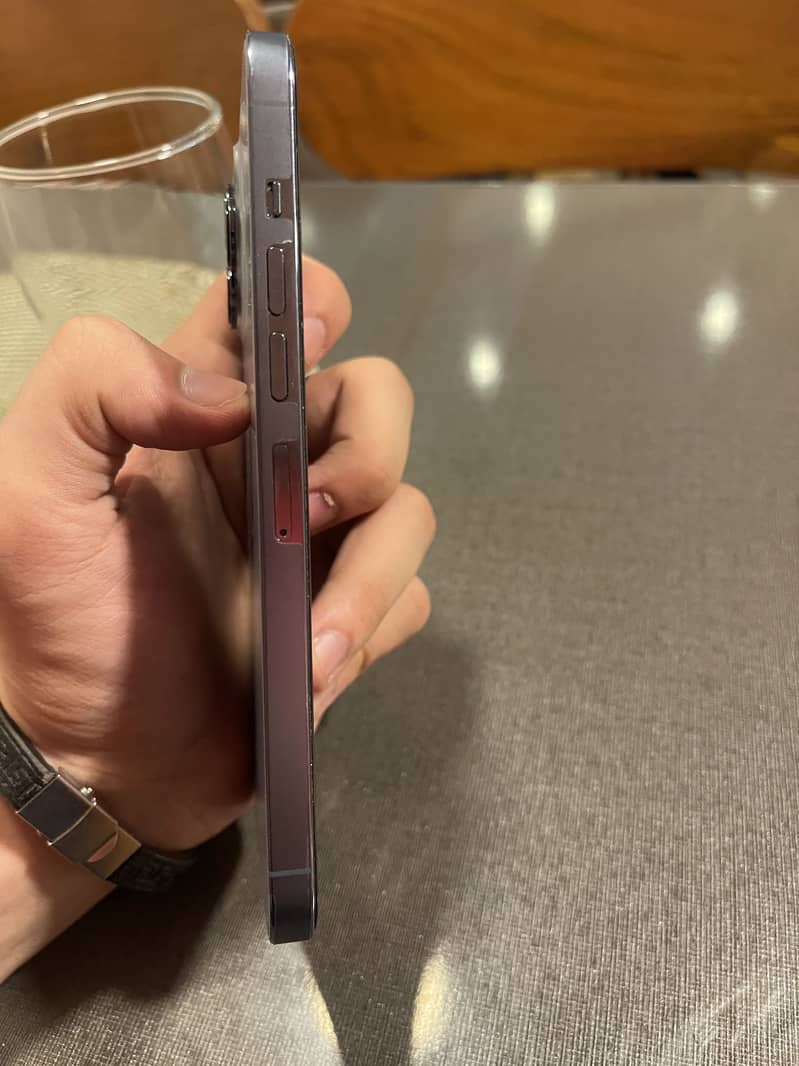 Apple iPhone 13 Pro Max 1