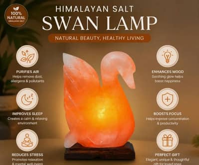 100% Pure Swan Shaped Himalayan Rock Salt Lamp From Khewra Salt mine.