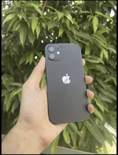 Apple iPhone 12