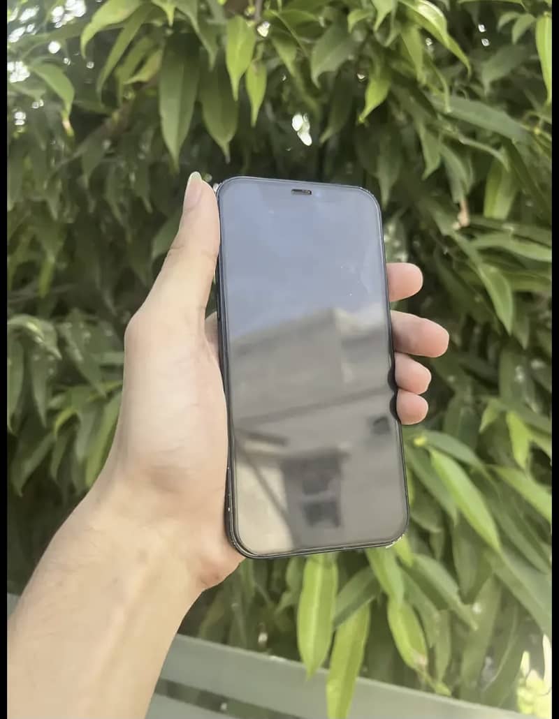 Apple iPhone 12 1