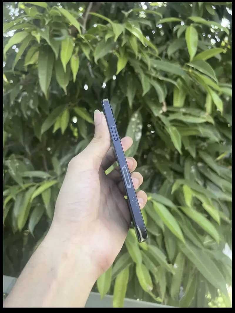 Apple iPhone 12 5