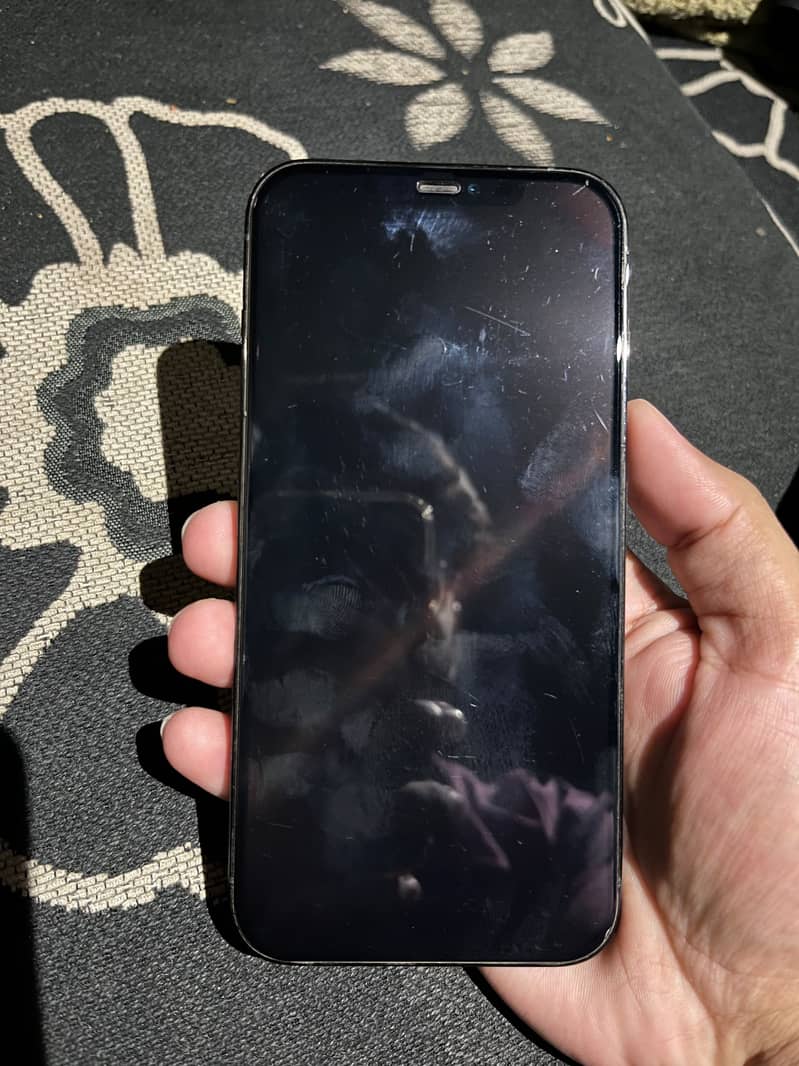 Apple iPhone 12 Pro Max 5