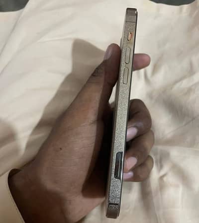 Apple iPhone 12 Pro