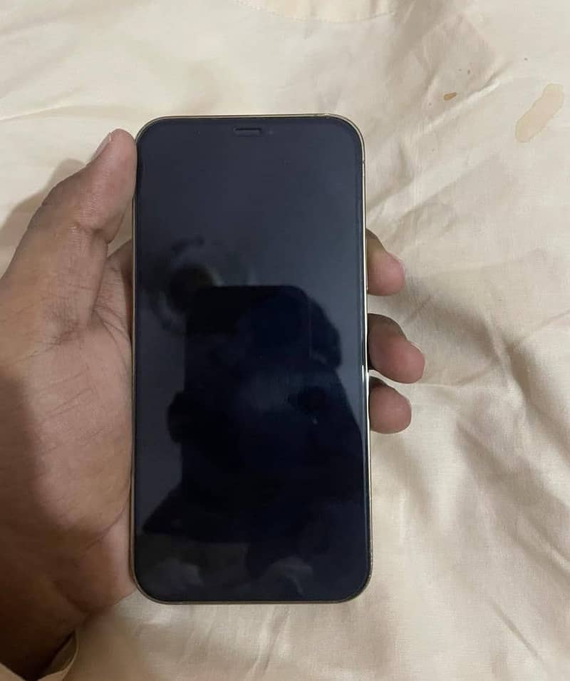 Apple iPhone 12 Pro 1