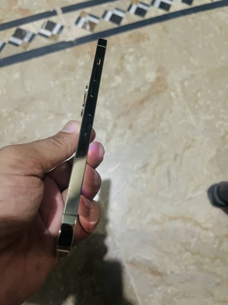 Apple iPhone 12 Pro Max 2