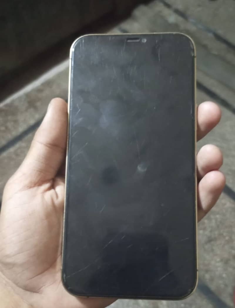 Apple iPhone 12 Pro Max 1