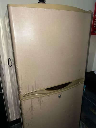 waves Fridge