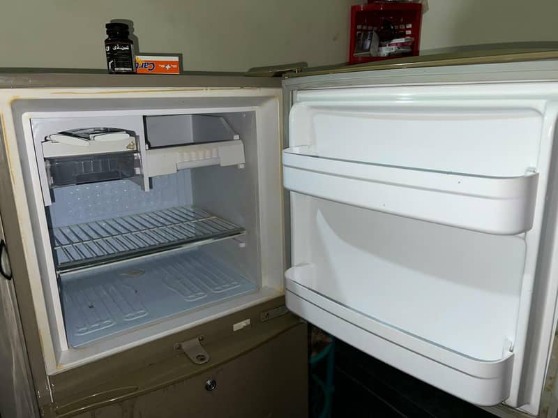 waves Fridge 6